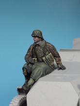 Waffen SS Half-truck Rider for Sd.Kfz. 251 (WW II) #5 - 3.